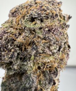 Shatter 1G - IB HIGH