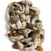 Cubensis Mexicana Dried Mushrooms