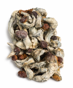 Cubensis Mexicana Dried Mushrooms