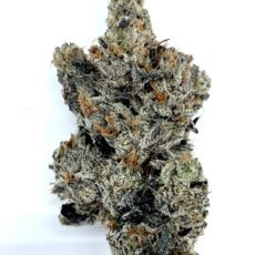 El Chapo - Product Image