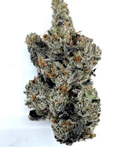 El Chapo - Product Image