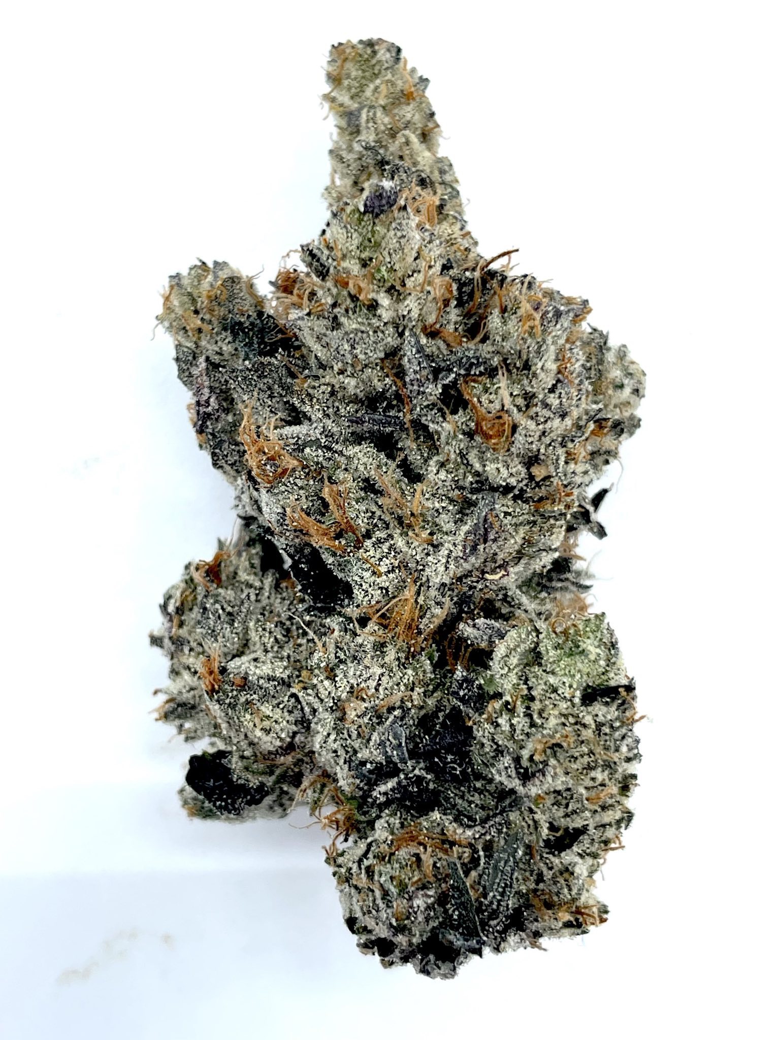 El Chapo 1 El Chapo - Product Image