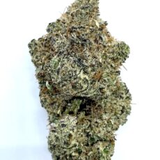 El Chapo - Product Image