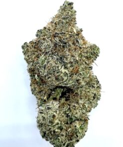 El Chapo - Product Image