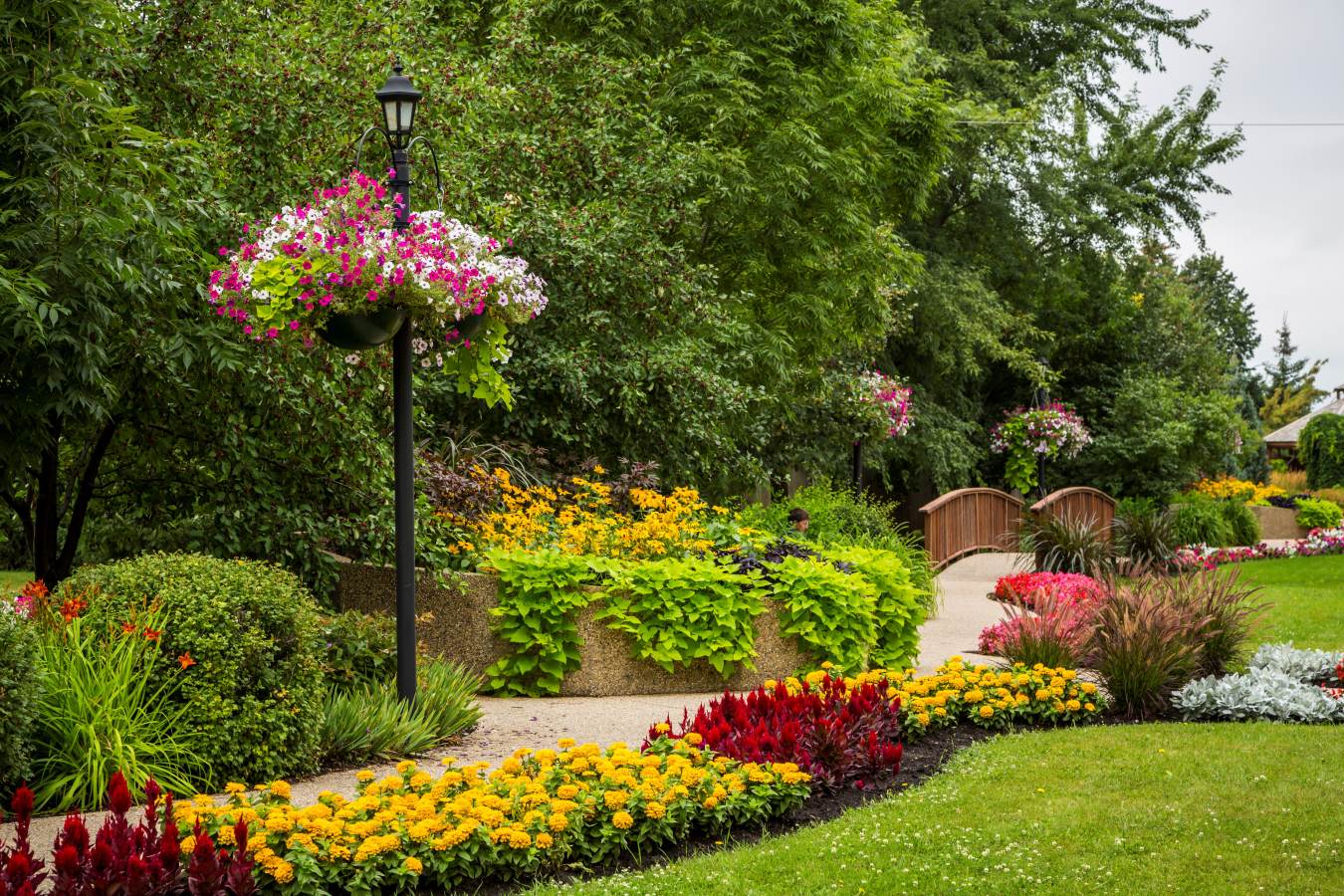 Weed Near Me - Order Weed Delivery Online 4 GrandeurGdns B0E93AC3 B443 4C02 ADD7245F5D16C1F1 63476e8e afec 4051 bb85d4db577bb0cc ae9217944f0738f696c093bccdcb3e55