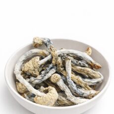 Kentucky Wild Dried Mushrooms