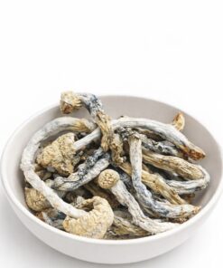 Kentucky Wild Dried Mushrooms - Product Image