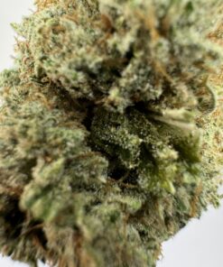 Gorilla Glue # 5 - Product Image
