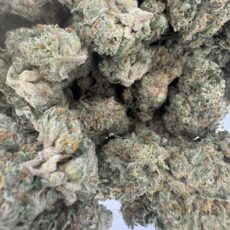 Love Portion Mediums strain