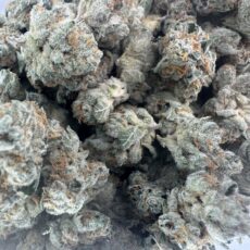 Punch Dog Mediums strain