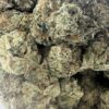 RS11 Mediums 5 RS11 Mediums strain
