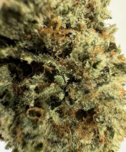 Japan - Product Image