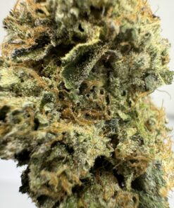 Japan - Product Image