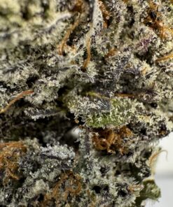 White Truffle - Product Image