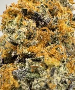 Bacio Gelato - Product Image