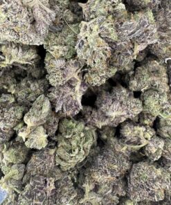 El Chapo Meduims - Product Image