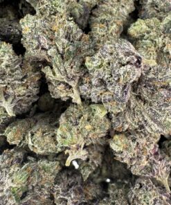 Mk-Ultra Mediums - Product Image