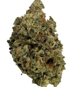 Japan - Product Image