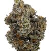 Bacio Gelato - Product Image