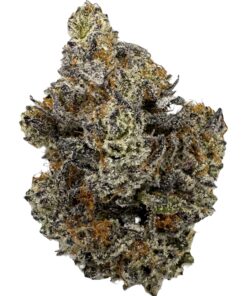 Bacio Gelato - Product Image