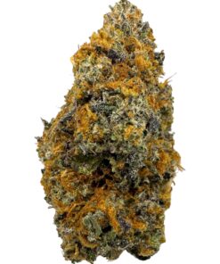 Bacio Gelato - Product Image