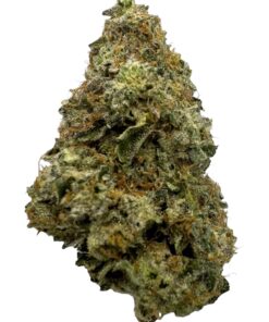 Japan - Product Image