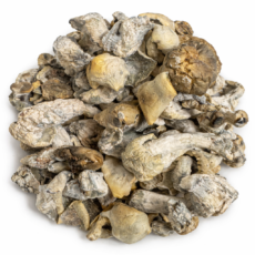 Strargazer Dried Mushrooms