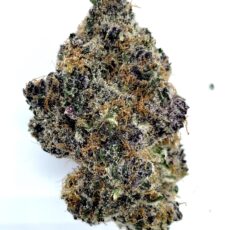 El Chapo - Product Image