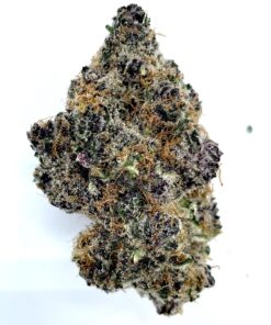 El Chapo - Product Image