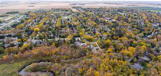 Weed Near Me - Order Weed Delivery Online 11 images 4