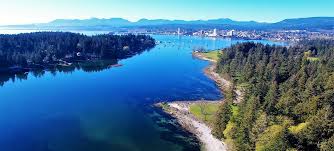 Weed Near Me - Order Weed Delivery Online 20 images