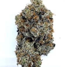 El Chapo - Product Image