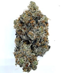 El Chapo - Product Image