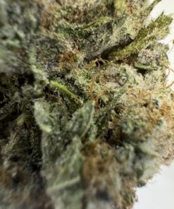 Shatter 1G - IB HIGH