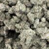 Greasy Runtz Medium - Product Image