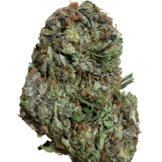 MKU IB High - Product Image