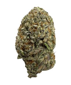 Blueberry Cake 247x296