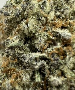 blueberry cake strain scaled