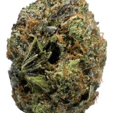 Death Bubba - IB High