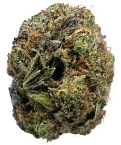 Death Bubba - IB High