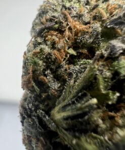 Alternative view of Death Bubba - IB High