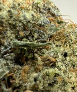 donkey butter strain