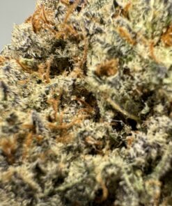 Alternative view of Purple Berry