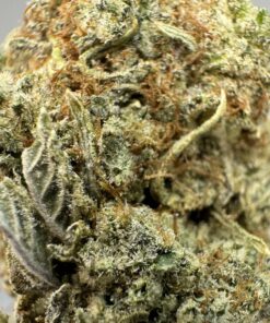 super kush strain scaled