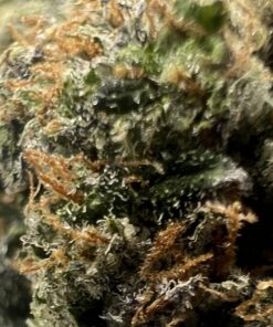 Alternative view of West Coast Pink