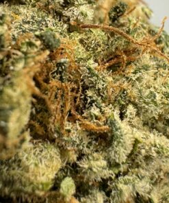 Alternative view of Panama Haze