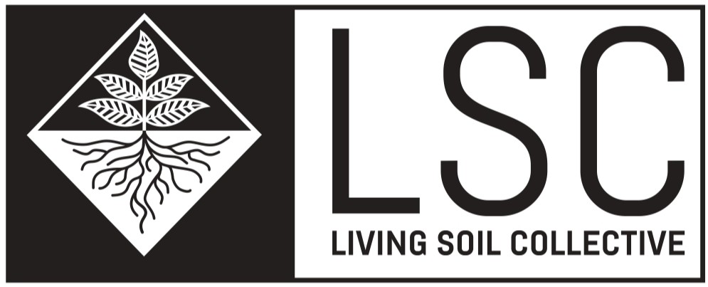 LSO Collective