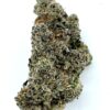 blue lobster strain quad zaza