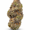 Blueberry Sugar 5 blueberry strain