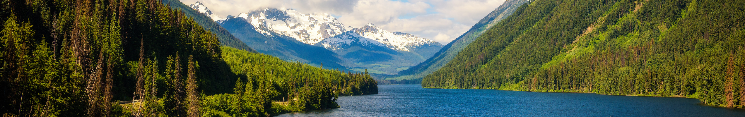 Buy BC Cannabis Online Banner